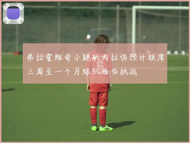 弗拉霍维奇小腿肌肉拉伤预计缺席三周至一个月球队面临挑战