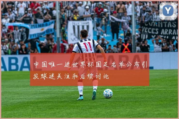 中国唯一进世界杯国足名单公布引发球迷关注和后续讨论